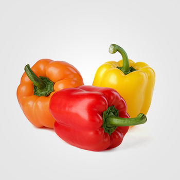Colored  Bell Peppers