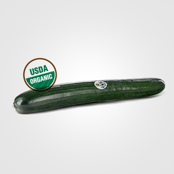 Organic Long English Cucumbers