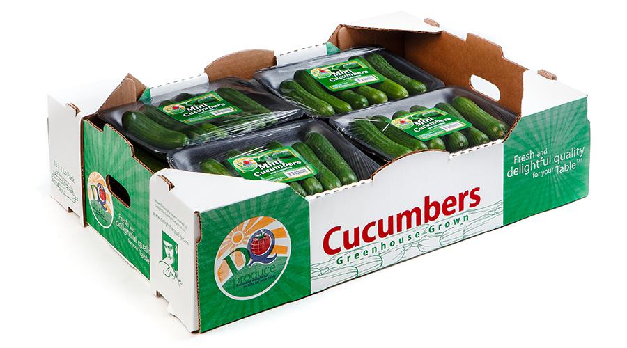 https://www.delightfulquality.com/v2/wp-content/uploads/2019/05/mini-cucumber-natural-12-by-1-lb-tray.jpg