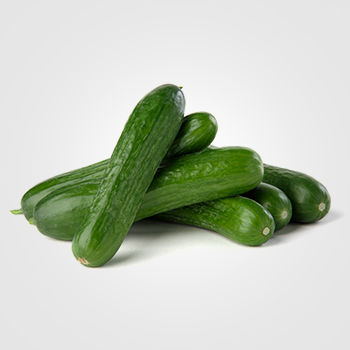 Mini  Cucumber