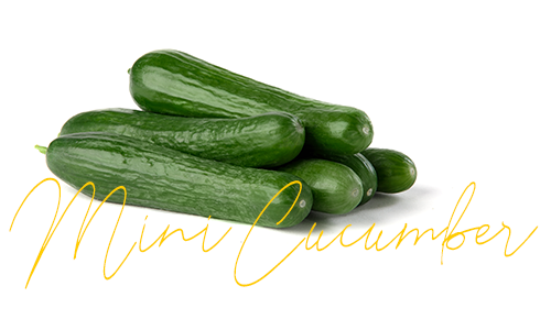 https://www.delightfulquality.com/v2/wp-content/uploads/2019/05/natural-mini-cucumber-commodity.png
