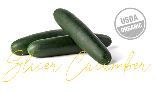 https://www.delightfulquality.com/v2/wp-content/uploads/2019/05/organic-slicer-cucumber-commodity-1.png