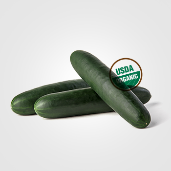 https://www.delightfulquality.com/v2/wp-content/uploads/2019/05/slicer-cucumber-organic-featured-img-1.png