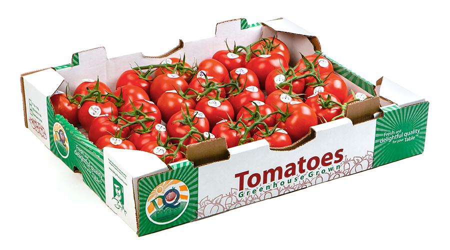 jellycat vine tomatoes